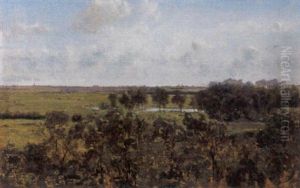 Landschap Landschap