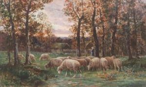 Sheep At Dusk by Raymond Desvarreux