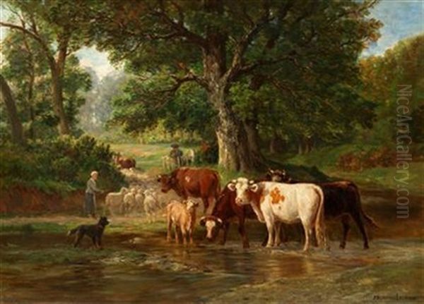 Cattle And Sheep Fording A River - view 1