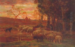 Sheep Grazing At Sunset Sheep Grazing At Sunset