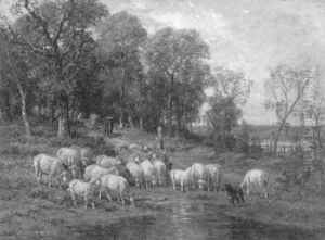 Hirtinnen Mit Kuhen Und Schafherde An Der Tranke Am Waldrand