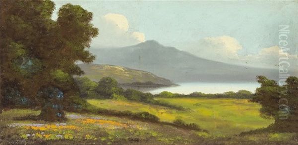 Bolinas Bay - Mt. Tamalpais - view 1