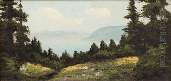 Lake Tahoe Landscape - view 1