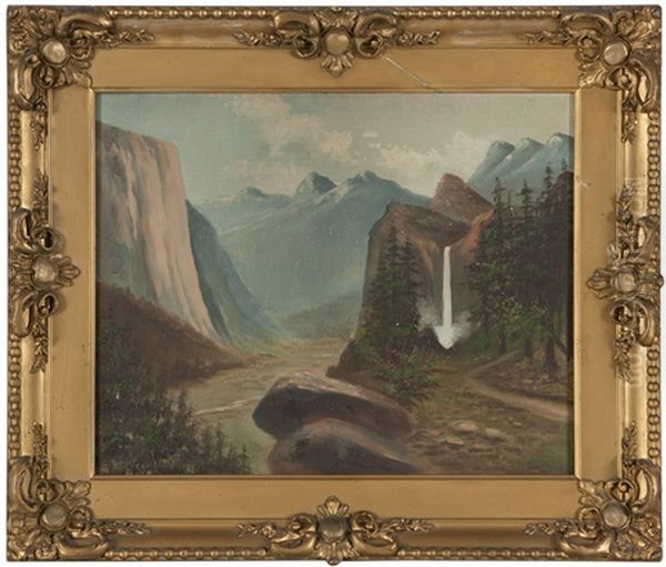 Hetch Hetchy Valley - view 1