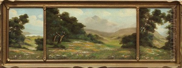 Landscape With Poppies And Lupine - view 1
