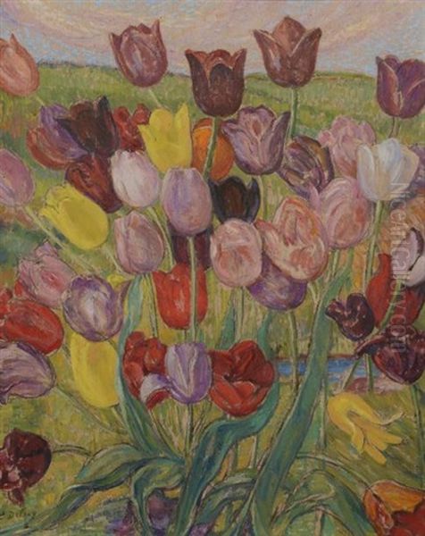 Tulipes - view 1
