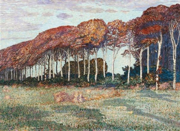 Chemin Arbore Bordant Les Champs - view 1
