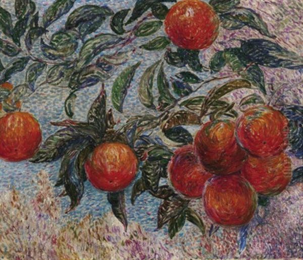 Apfelbaum - view 1