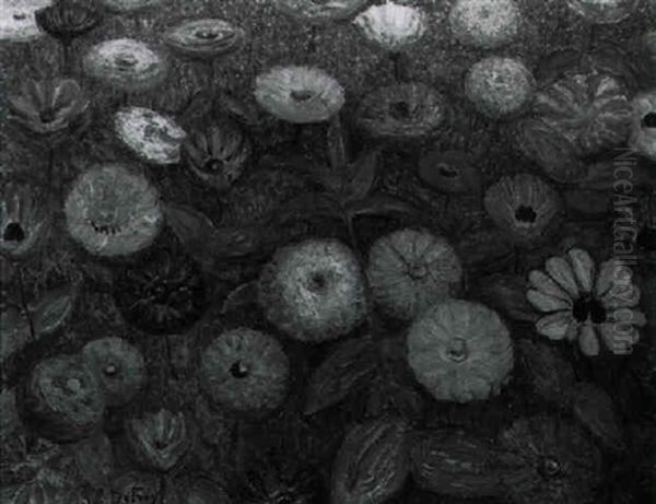Zinnias - view 1