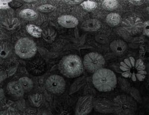 Zinnias Zinnias