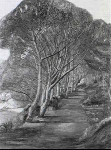 L'allee Des Pins Au Bord De Mer