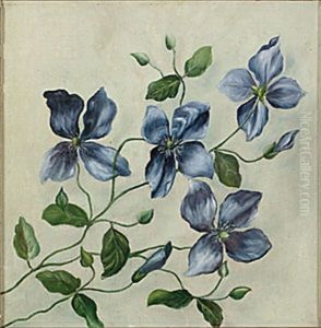 Klematis