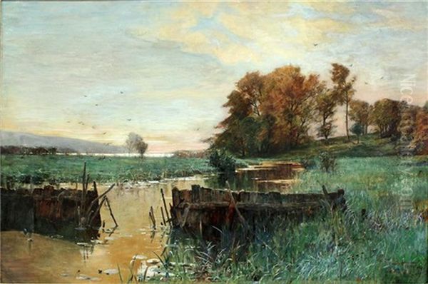 Herbstliche Havellandschaft - view 1