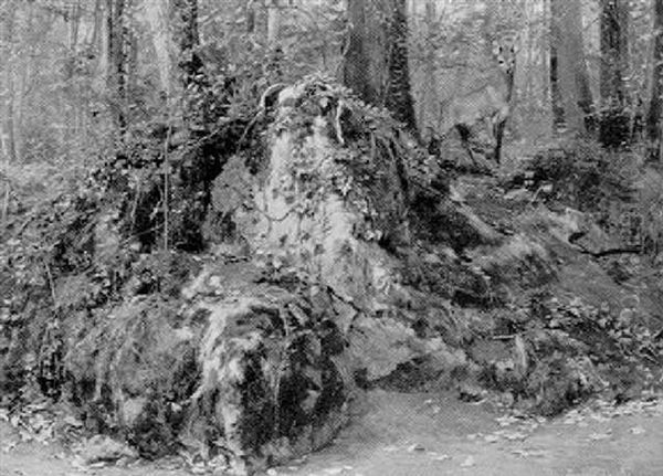 Foret De Rosebois - view 1