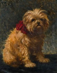 Hund Mit Rotem Halsband