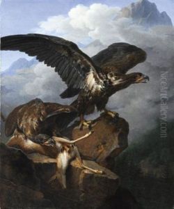 Aigles Avec Leur Proie (+ Busard Fondant Sur Des Perdrix Rouges; Pair)