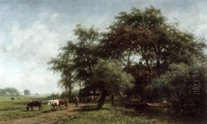 Sommertag Auf Dem Lande