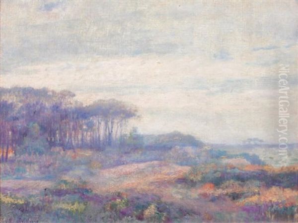 Paysage Du Vaucluse - view 1