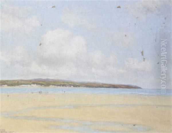 The Welsh Coast - view 1