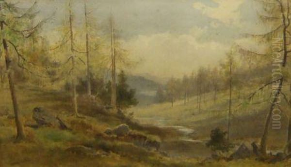 A Mountain Glen With Pine Trees - view 1