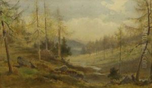 A Mountain Glen With Pine Trees