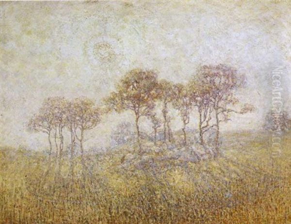Sassafras And Sunshine And Haze - view 1