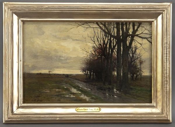 Landscape After Wind And Rain - view 1