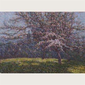 Blossoms From Arques