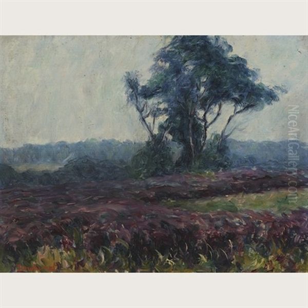 A Hillside Of Heather - view 1