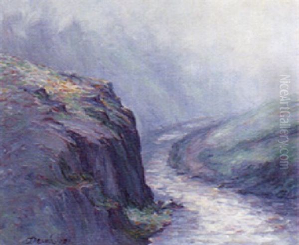 Morning Mist - view 1