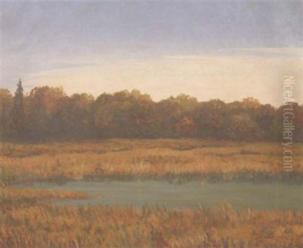 A Prairie Landscape - view 1