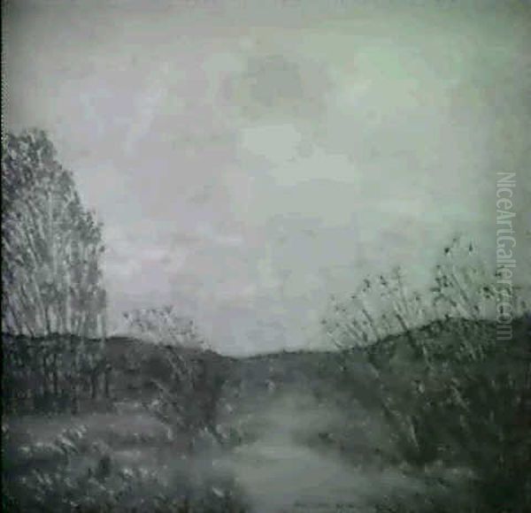 The Marsh - view 1