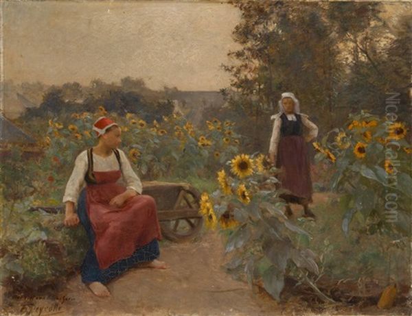 Repos Parmi Les Tournesols - view 1
