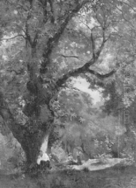 Picknick Im Freien - view 1