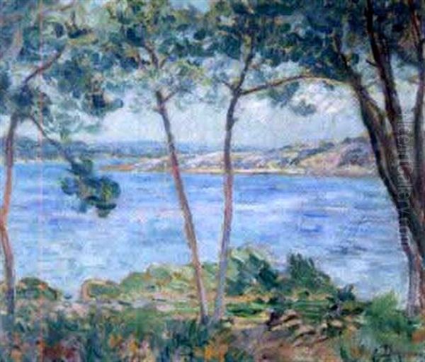 Les Pins En Bord De Mer - view 1