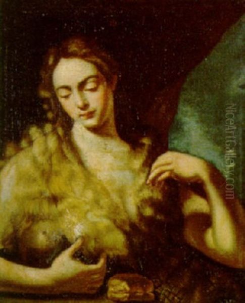 Maddalena - view 1