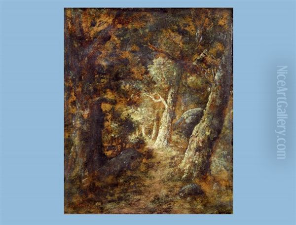 Waldinneres - view 1