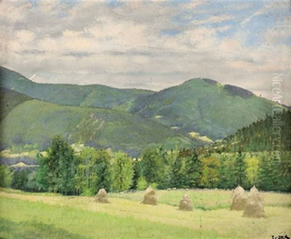 Wiesen- Und Waldlandschaften (3 Works) - view 1