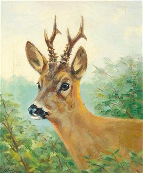 Portrait Eines Rehbocks - view 1