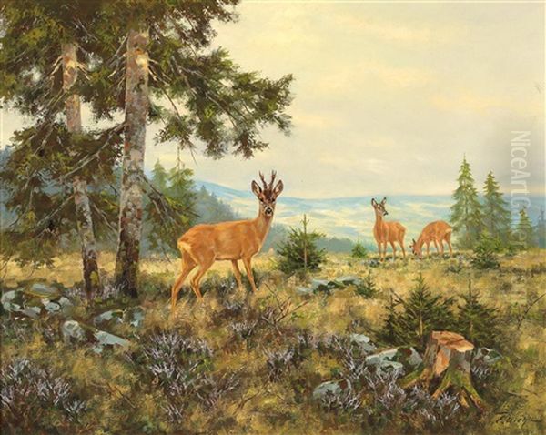 Red Deer On High Ground - view 1