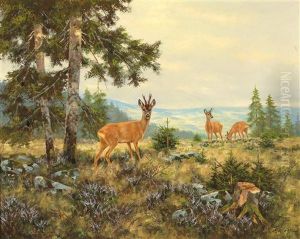 Red Deer On High Ground