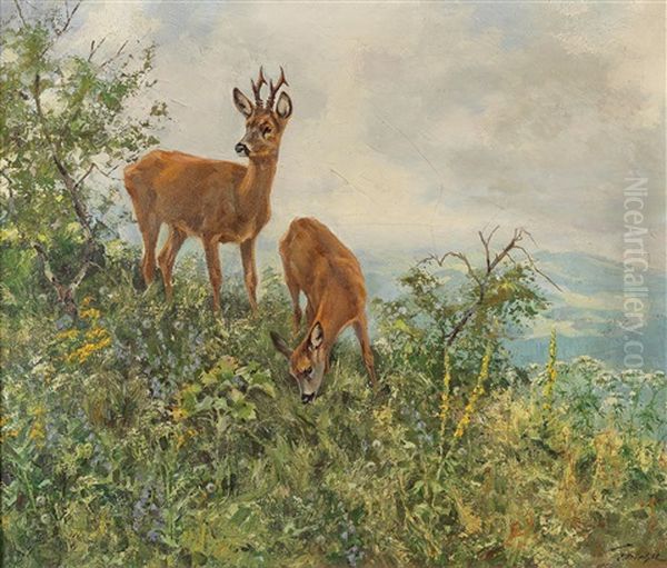 Red Deer On The Mountainside In Summer - view 1