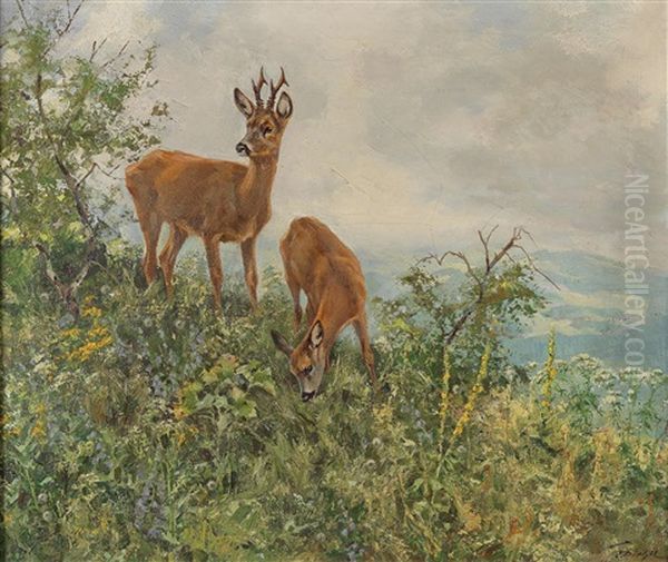Red Deer On A Mountain Slope In Summer - view 1