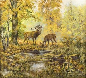 Hirsch Und Rehkuh Im Herbstwald