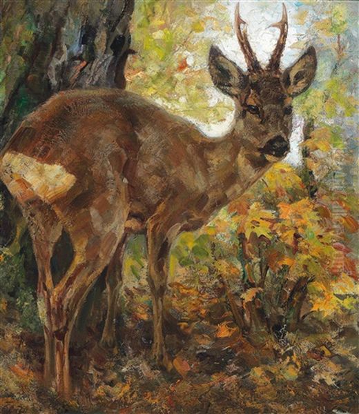Roebuck - view 1