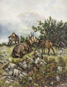 Gemsen Zur Sommerzeit Im Hochgebirge by Erich Dichtl