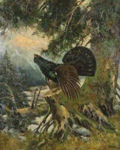 Balzender Auerhahn Im Hochgebirgswald