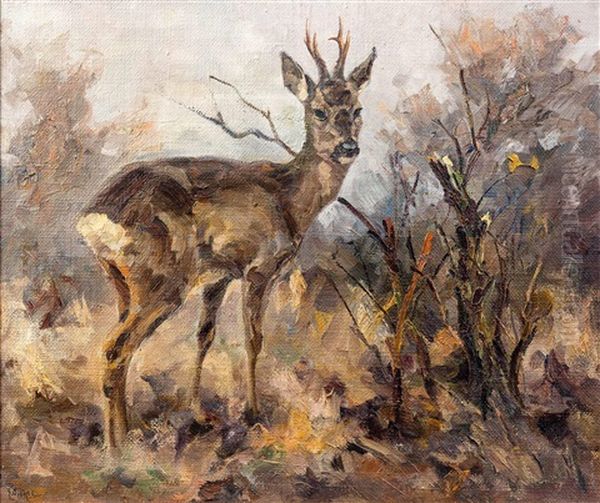 Rehbock In Landschaft - view 1