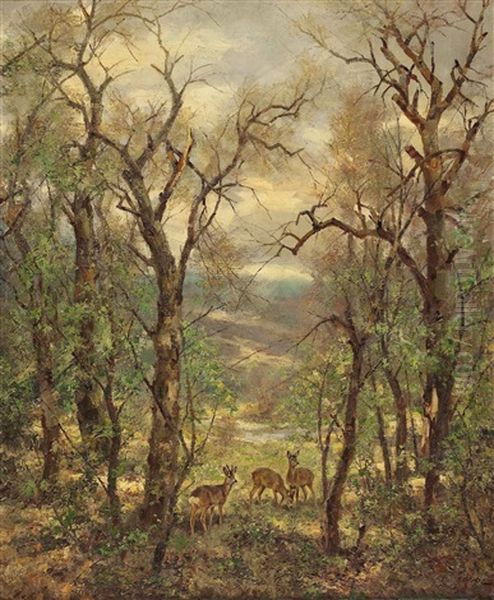 Rehe In Der Waldlichtung - view 1