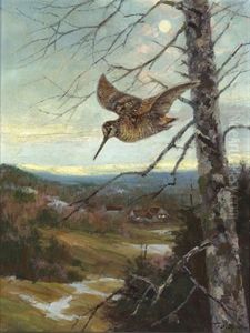 Schnepfe by Erich Dichtl
